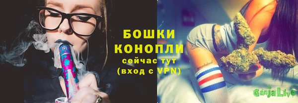 метадон Зеленодольск