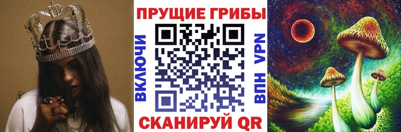 что такое наркотик  Салехард  сайты даркнета телеграм  Галлюциногенные грибы MAGIC MUSHROOMS 